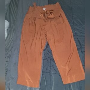 Madewell Drapey PaperBag Pants Size 14
